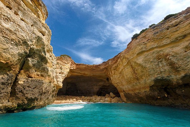 Dolphins Search and Benagil Caves from Albufeira - The swimming stop: when it happens, and how to handle it safely