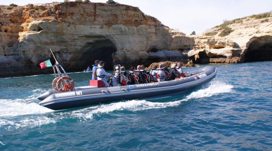 Dolphins Watching - Portimão - Key highlights you’ll feel on the trip