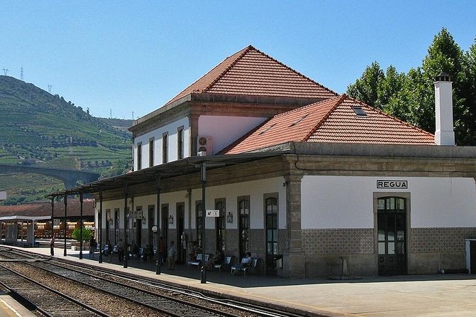 Douro Valley and Régua Panoramic Cruise with Lunch from Porto - Porto to Régua by Bus: A Long Transfer You Can Use