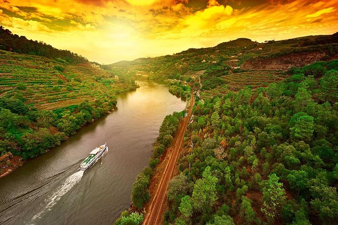 Douro Valley and Régua Panoramic Cruise with Lunch from Porto - Carrapatelo Dam Locks: The “Hold on, That Drops” Moment