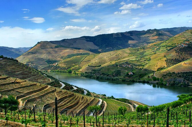 Douro Valley and Régua Panoramic Cruise with Lunch from Porto - The On-Board Lunch: Filling, With Wine, and Some Variability