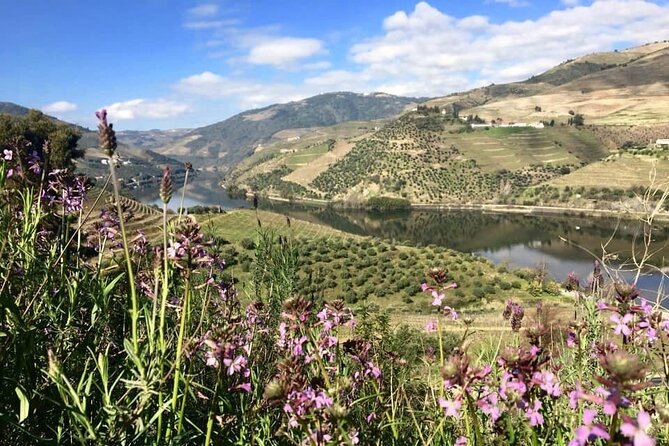 Douro Valley and Régua Panoramic Cruise with Lunch from Porto - Ending in Porto and Gaia: Views at the River Mouth