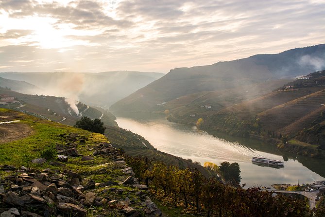 Douro Valley and Régua Panoramic Cruise with Lunch from Porto - Price and Logistics: Who This Day Trip Is Really For