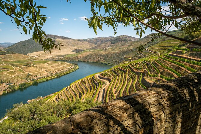 Douro Valley Best-Of Private Tour - Fully Customizable Experience - Stop One: N222 Road Viewpoints That Make the Douro Look Like a Postcard