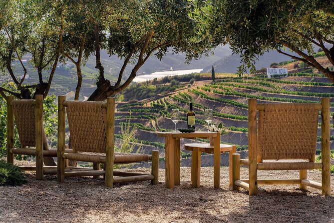 Douro Valley Best-Of Private Tour - Fully Customizable Experience - Provesende Wine Lunch With DOC Pairings, Plus Time to Walk the Village