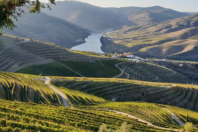 Douro Valley Best-Of Private Tour - Fully Customizable Experience - Optional Add-Ons You Should Consider: Tastings, Upgraded Lunch, and a Boat Trip