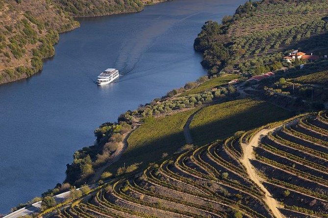 Douro Valley Cruise Porto to Pinhão: Breakfast, Lunch and Tasting - The dam stops on the Douro: why Crestuma-Lever and Carrapatelo feel special