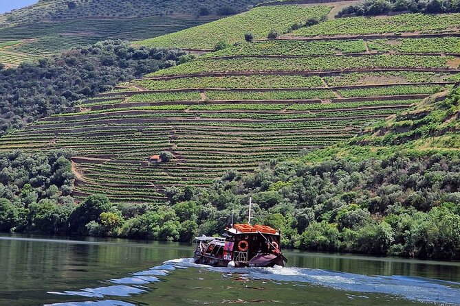 Douro Valley-Expert Guide-Boat-Lunch-Tastings-Offer wine bottle - Why the Rabelo boat cruise makes this Douro tour worth your day