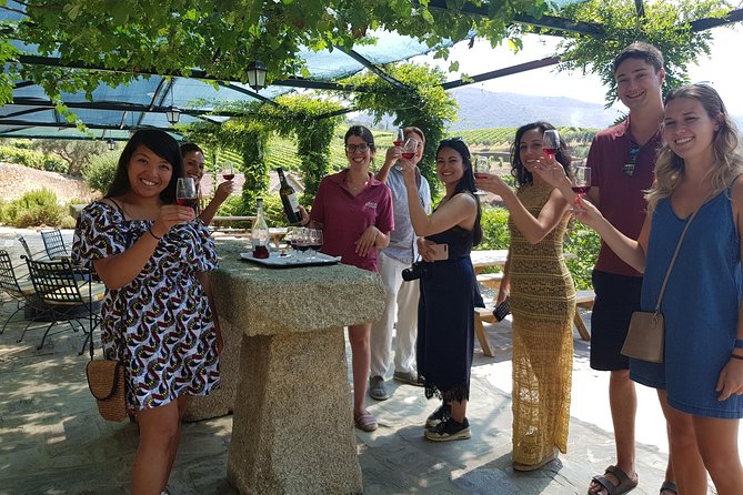 Douro Valley for Wine Lovers with Visit to 4 Wineries and Lunch - Porto to Douro Valley at 8:30am: The Day in Transit