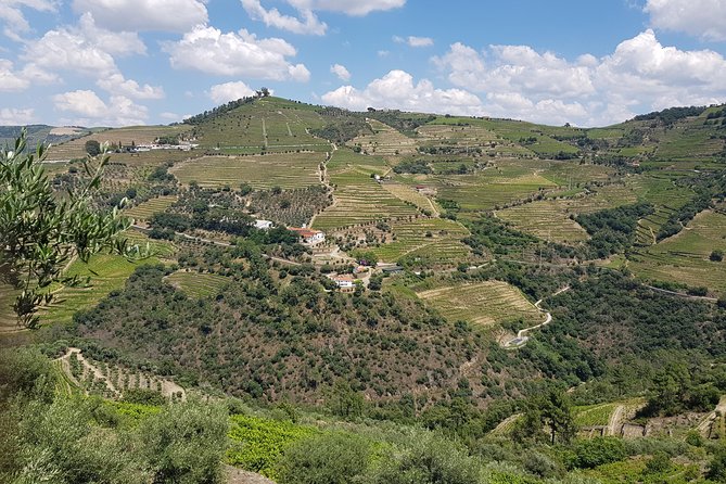 Douro Valley for Wine Lovers with Visit to 4 Wineries and Lunch - Hotel Pickup, Group Size, and What the Max 15 Means