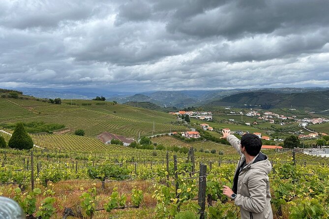 Douro Valley for Wine Lovers with Visit to 4 Wineries and Lunch - Price and Logistics: Is $205.67 Worth It?