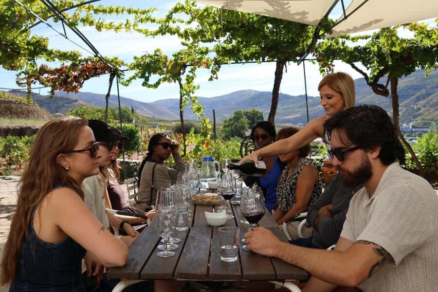 Douro Valley: Half-Day, with 1 winery & 1-h boat tour - Why This Douro Half-Day Combo Feels Right