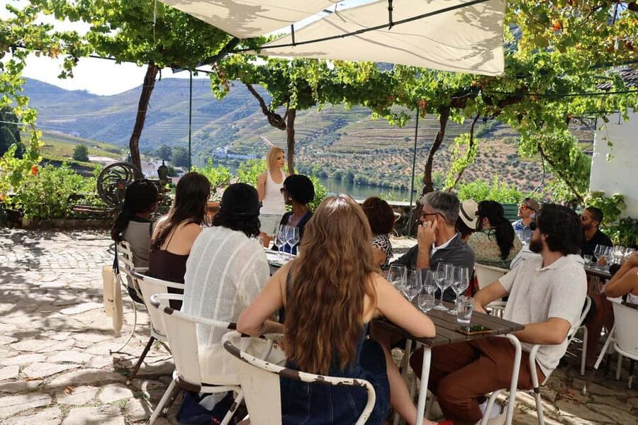 Douro Valley: Half-Day, with 1 winery & 1-h boat tour - Pinhão Boat Cruise: 1 Hour on the Douro with Porto Wine and Snacks