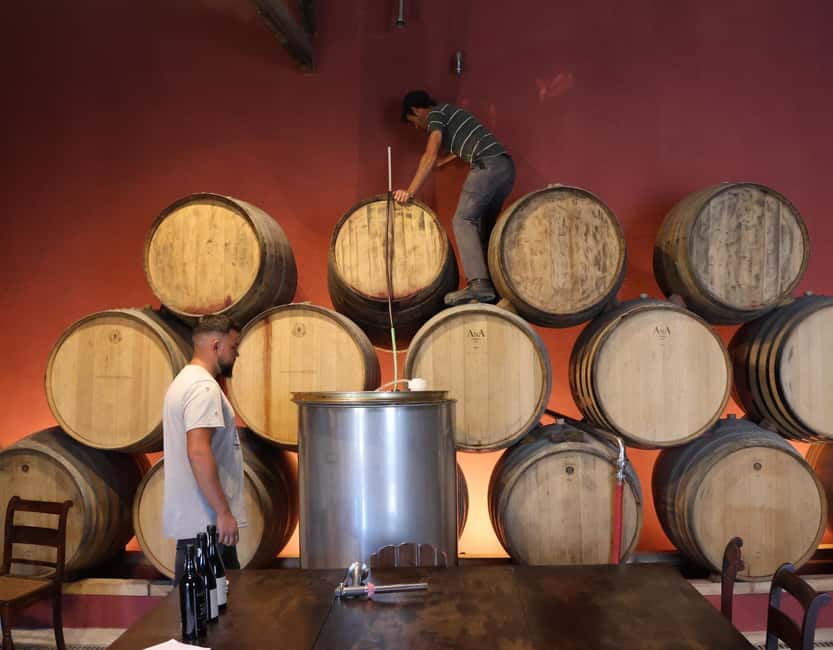 Douro Valley: Half-Day, with 1 winery & 1-h boat tour - Price and Value: Is $80 Actually Fair Here?
