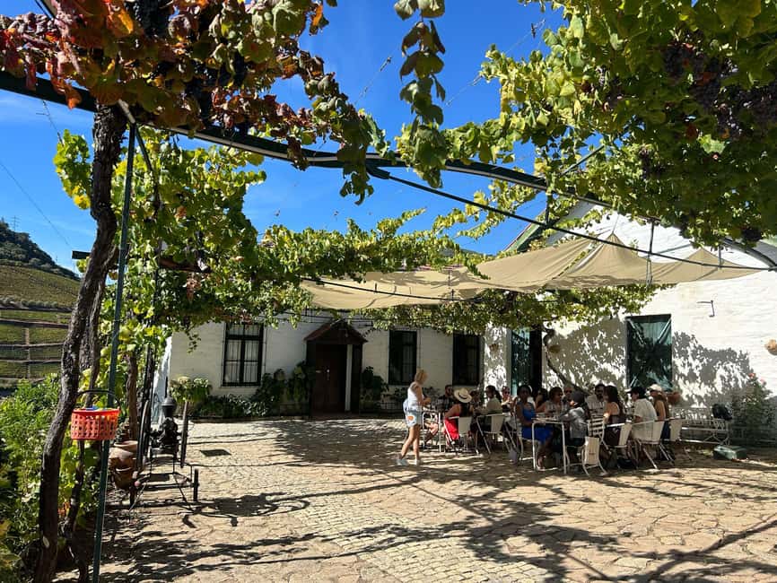 Douro Valley: Half-Day, with 1 winery & 1-h boat tour - Potential Snags to Watch For Before You Go