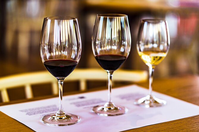 Douro Valley: Historical Sites, Wine Experience, Lunch & Cruise - Pinhão and the Rabelo Boat Cruise: Where the Valley Makes Sense