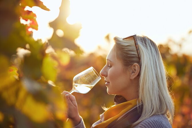 Douro Valley: Historical Sites, Wine Experience, Lunch & Cruise - A Vineyard Estate Visit in Pinhão: Walking, Learning, and Tasting 3 Wines