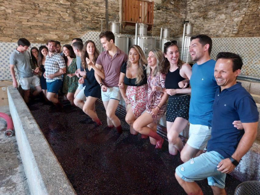 Douro Valley: (Pinhão) Quinta da Foz - Tour&Tasting 5 WINES - Quinta da Foz in Pinhão: what this 1-hour tour feels like