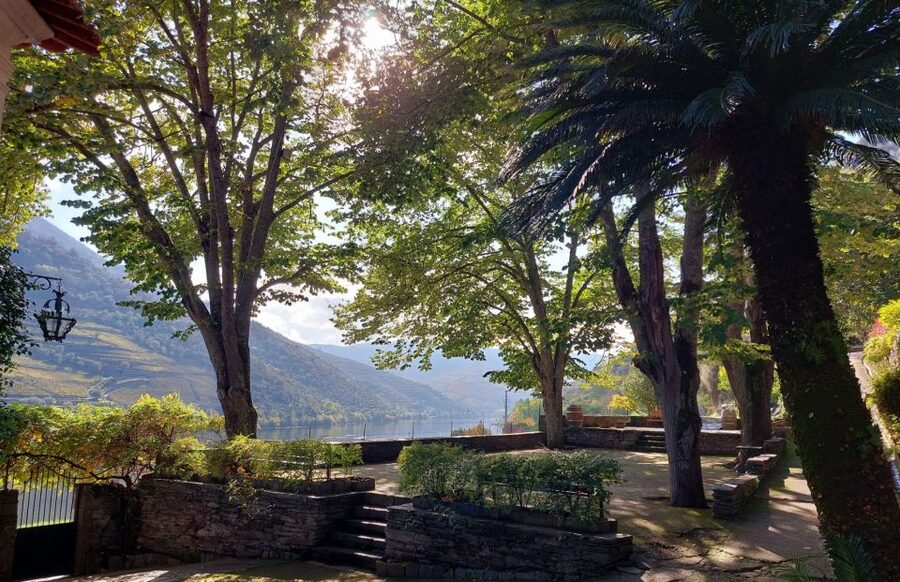 Douro Valley: (Pinhão) Quinta da Foz - Tour&Tasting 5 WINES - The traditional wine cellar: where reds, whites, and port age side by side