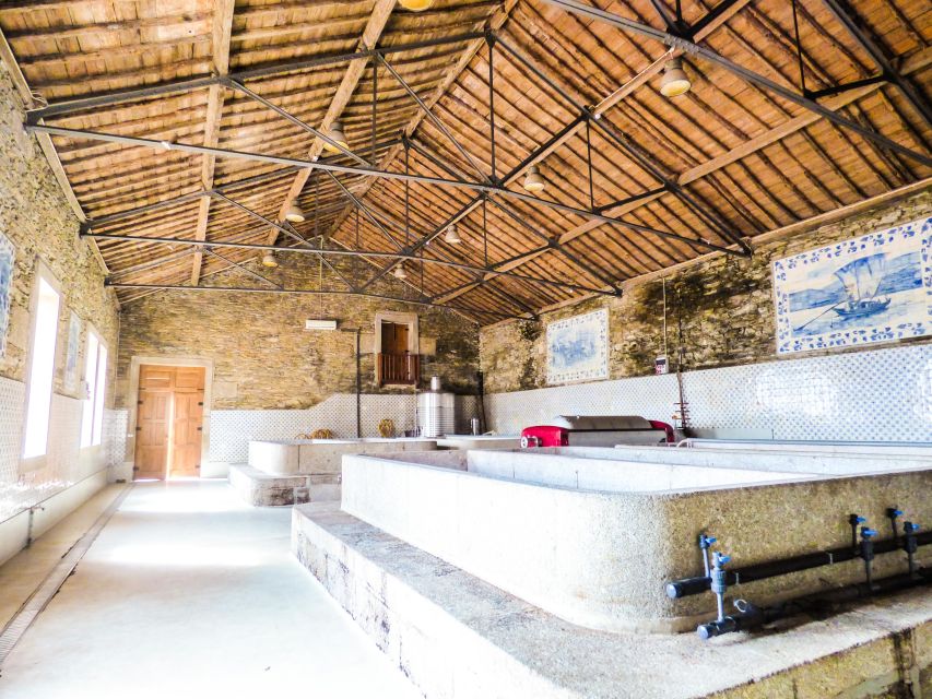Douro Valley: (Pinhão) Quinta da Foz - Tour&Tasting 5 WINES - Starting in the winery: vinification, traditional process, and those tile details