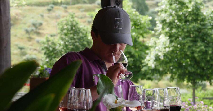 Douro Valley: Premium Port Tasting Winery Tour & River Views - From Folgosa to the Douro River: Setting the Tone