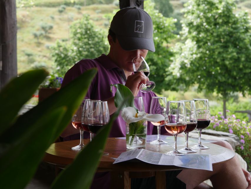 Douro Valley: Premium Port Tasting Winery Tour & River Views - Stone Lagares: Watching the Foot-Treading Tradition in Context