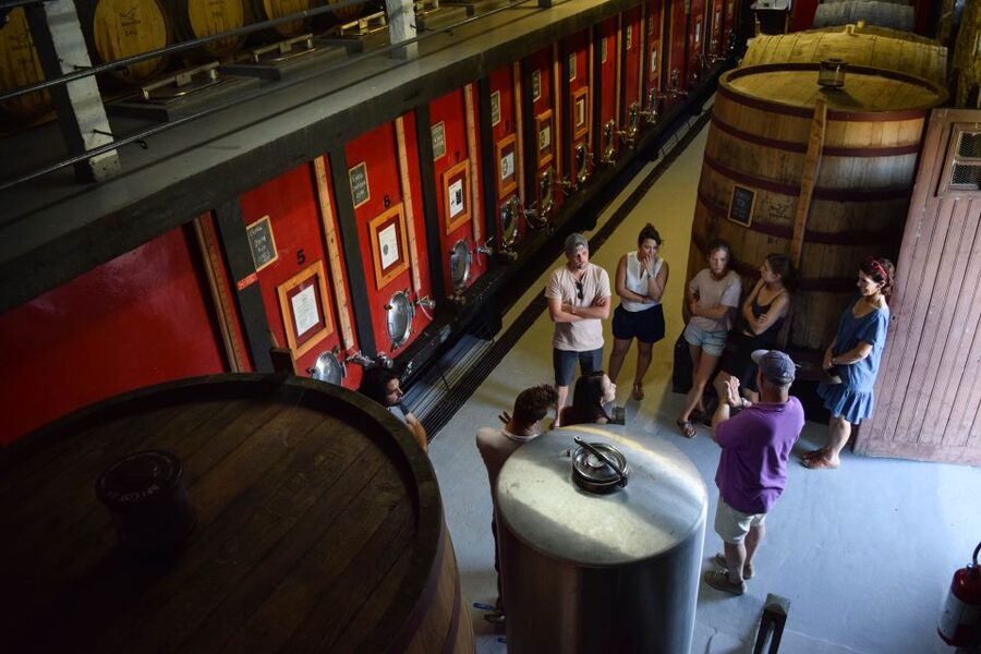 Douro Valley: Premium Port Tasting Winery Tour & River Views - The Views Over the Douro Valley: Where the Wine Makes Sense
