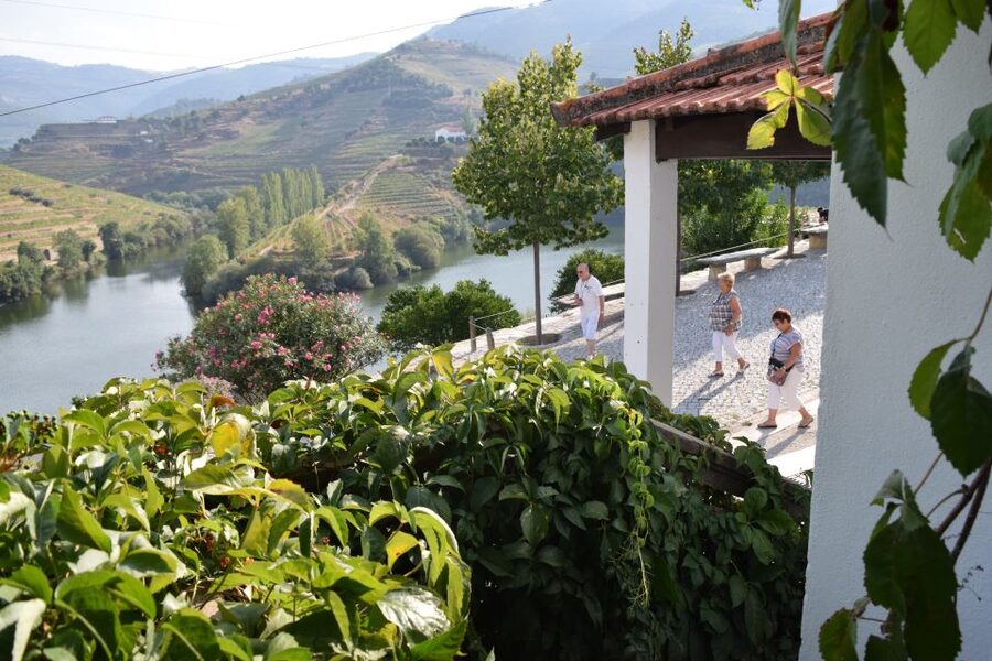 Douro Valley: Premium Port Tasting Winery Tour & River Views - 18th-Century Cellars, Port Aging, and DOC Production Basics