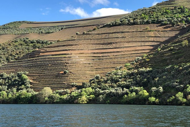 Douro Valley private wine tour | tastings and lunch included - One-Day Duoro Valley Tour That Trades Planning for Flavor