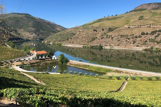 Douro Valley private wine tour | tastings and lunch included - Douro River Cruise: The Day’s Best Break