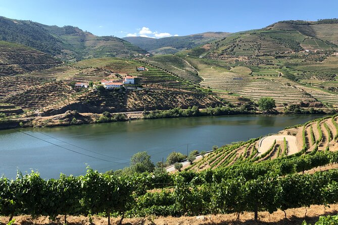 Douro Valley private wine tour | tastings and lunch included - Quinta Stops for Port and Douro DOC Tastings, Not Just One Winery