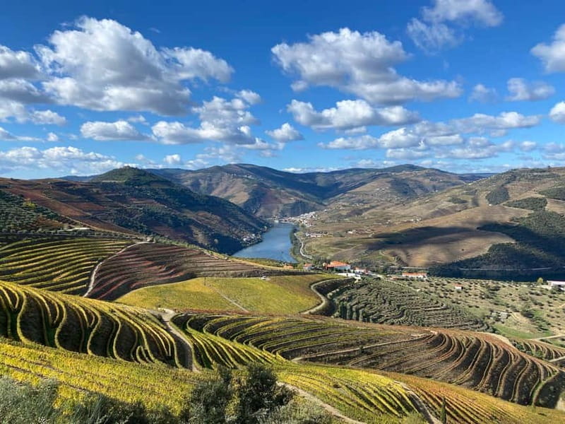 Douro Valley: Small-Group Tour, Winery's Lunch, Private Boat - N222 on the way back: a second wave of scenery