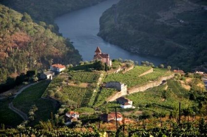 Douro Valley Small-Group Tour with Wine Tasting, Lunch and Boat - Key things that make this Douro tour work