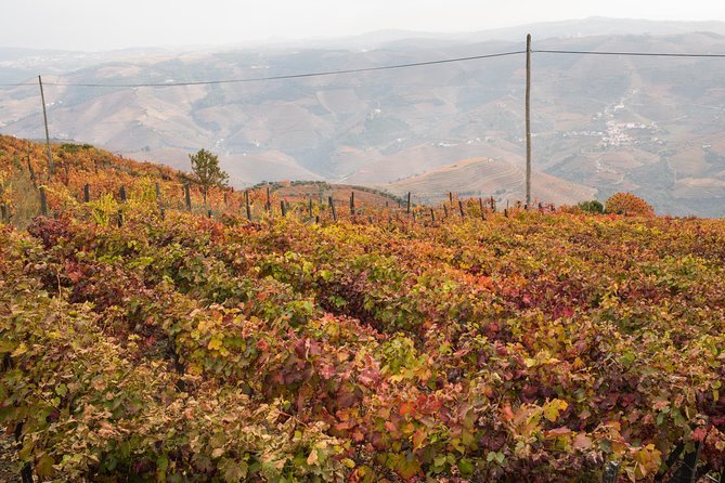 Douro Valley Small-Group Tour with Wine Tasting, Lunch and Boat - Pinhão village and the blue tile station murals you can actually see