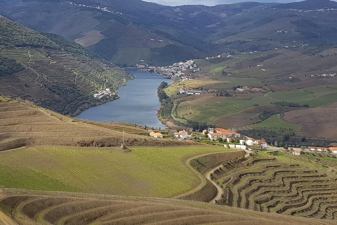 Douro Valley Tour: 2 Vineyard Visits, River Cruise, Winery Lunch - Key Things That Make This Tour Worth It