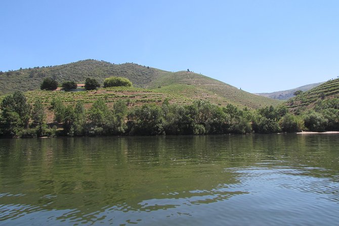 Douro Valley Tour: 2 Vineyard Visits, River Cruise, Winery Lunch - Stop 1 in Lamego: Family Vineyard Tasting and Terraced Hill Views