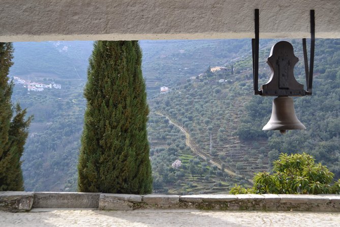 Douro Valley Tour: 2 Vineyard Visits, River Cruise, Winery Lunch - Price and Value: What You Are Paying For