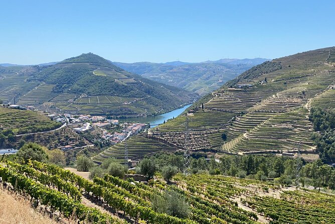 Douro Valley Tour - 3 Wine tastings, Lunch & river Cruise - The Port Education Block: 10, 20, and 30 Year Olds