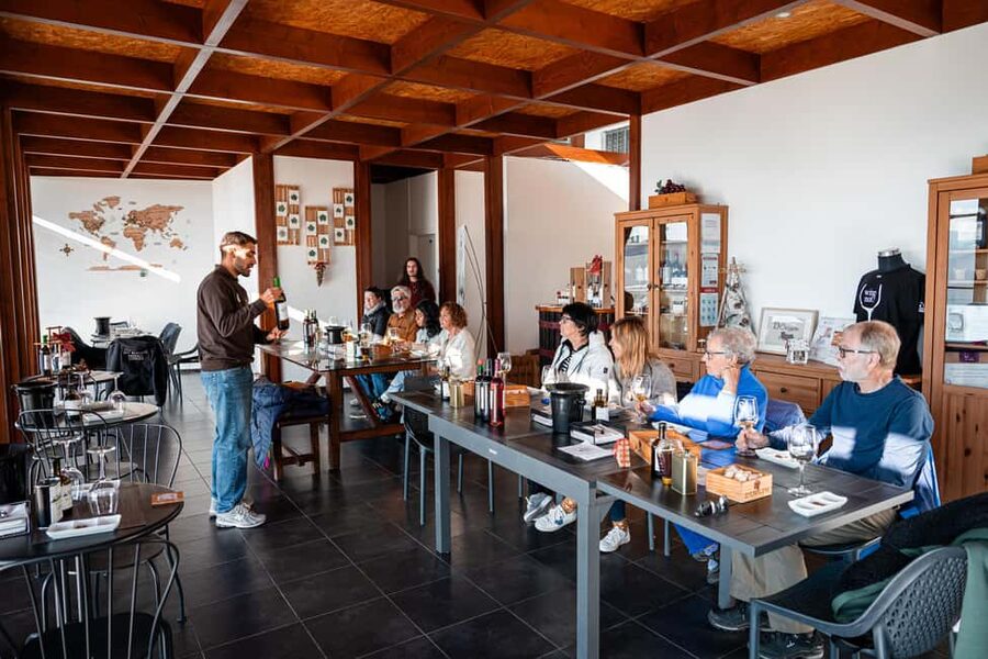 Douro Valley Tour: Visit 2 Wineries, Lunch & River Cruise - Two winery estates: DOC Douro and Port tastings with local products