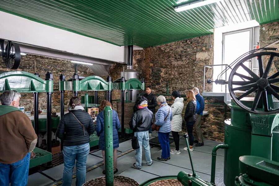 Douro Valley Tour: Visit 2 Wineries, Lunch & River Cruise - Pinhão river cruise: your slow moment in the Douro
