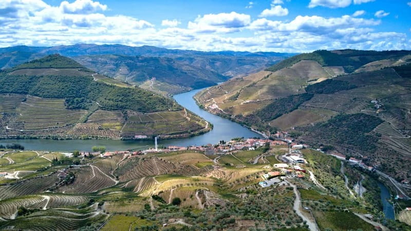 Douro Valley Tour: Visit 2 Wineries, Lunch & River Cruise - Traditional lunch in a regional restaurant