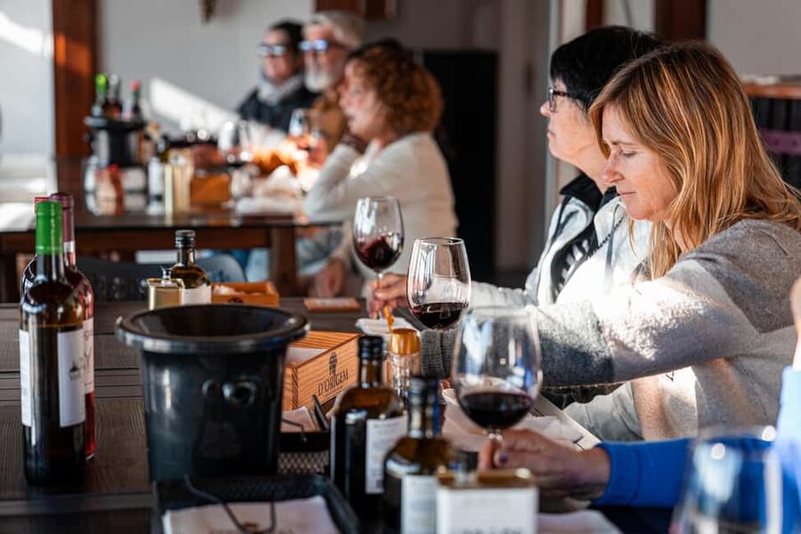 Douro Valley Tour: Visit 2 Wineries, Lunch & River Cruise - What to pack, and how to handle rain (because it can happen)