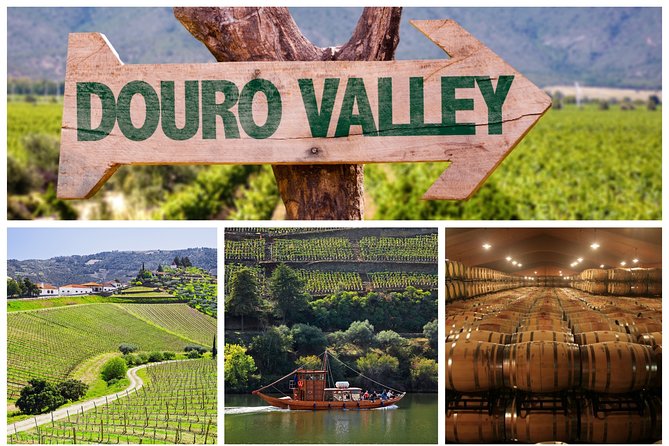 Douro Valley Tour: Wine Tasting, Cruise and Lunch from Porto - A 10.5-hour Douro day from Porto that actually feels organized