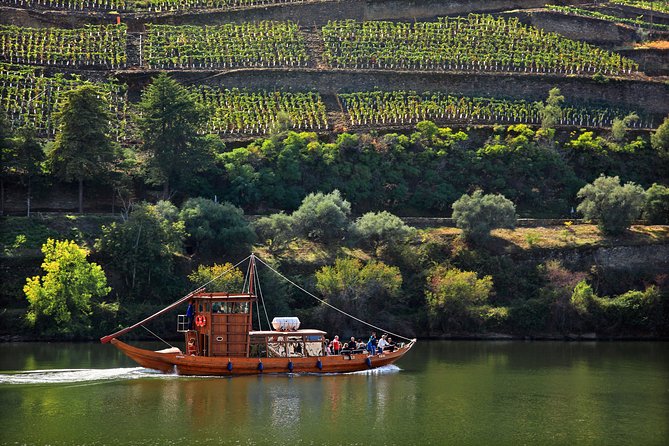 Douro Valley Tour: Wine Tasting, Cruise and Lunch from Porto - The guide sets the tone, and names like Ricardo, Milena, and Manuela show up a lot