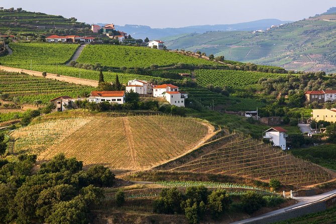 Douro Valley Tour: Wine Tasting, Cruise and Lunch from Porto - What is included, what you may pay extra for, and the value math