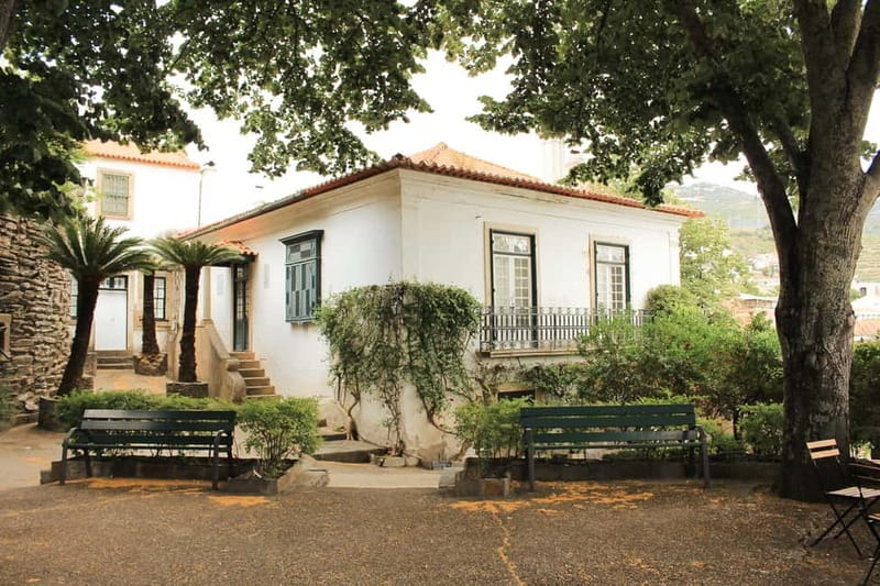Douro Valley: Tour with Wine Tastings, Lunch, and Boat Ride - Stop Two: Small Table-Wine Producer, Premium Differences, and Olive Oil