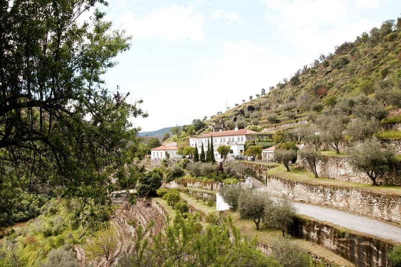 Douro Valley: Tour with Wine Tastings, Lunch, and Boat Ride - Price Check: Why $169 Can Make Sense for the Douro