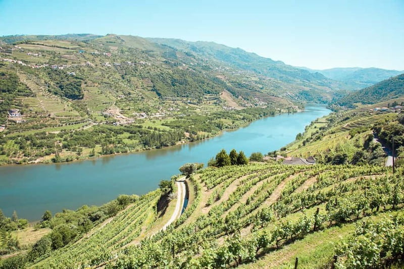 Douro Valley: Tour with Wine Tastings, Lunch, and Boat Ride - Pickup From Porto, and the Road Reality Check