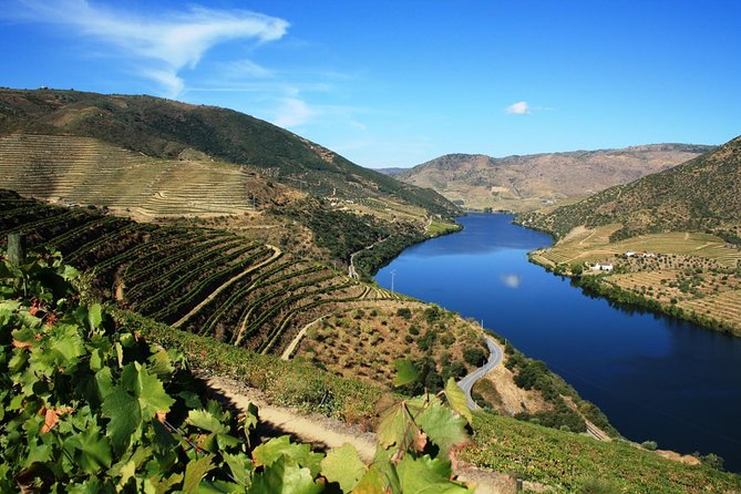 Douro Valley Wine Tour: 3 Vineyard Visits, Wine Tastings, Lunch - A Douro Day Trip That Actually Makes Sense From Porto