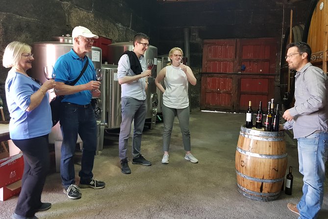 Douro Valley Wine Tour: 3 Vineyard Visits, Wine Tastings, Lunch - Stop 1: Lamego Vineyard Views and a Family Tasting